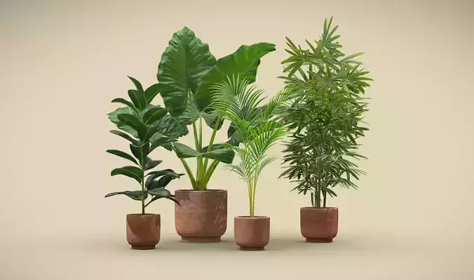 Indoor Plants Pack 1
