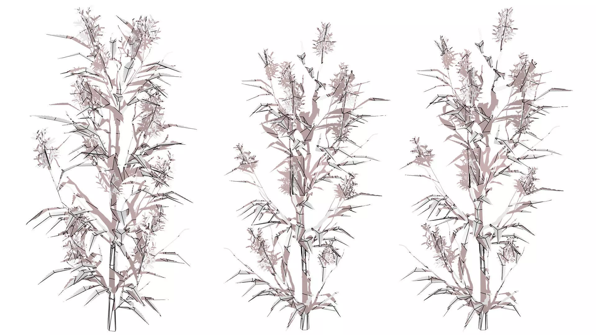 British Hemp-Agrimony 3D Model Pack Low-poly 3D model_10