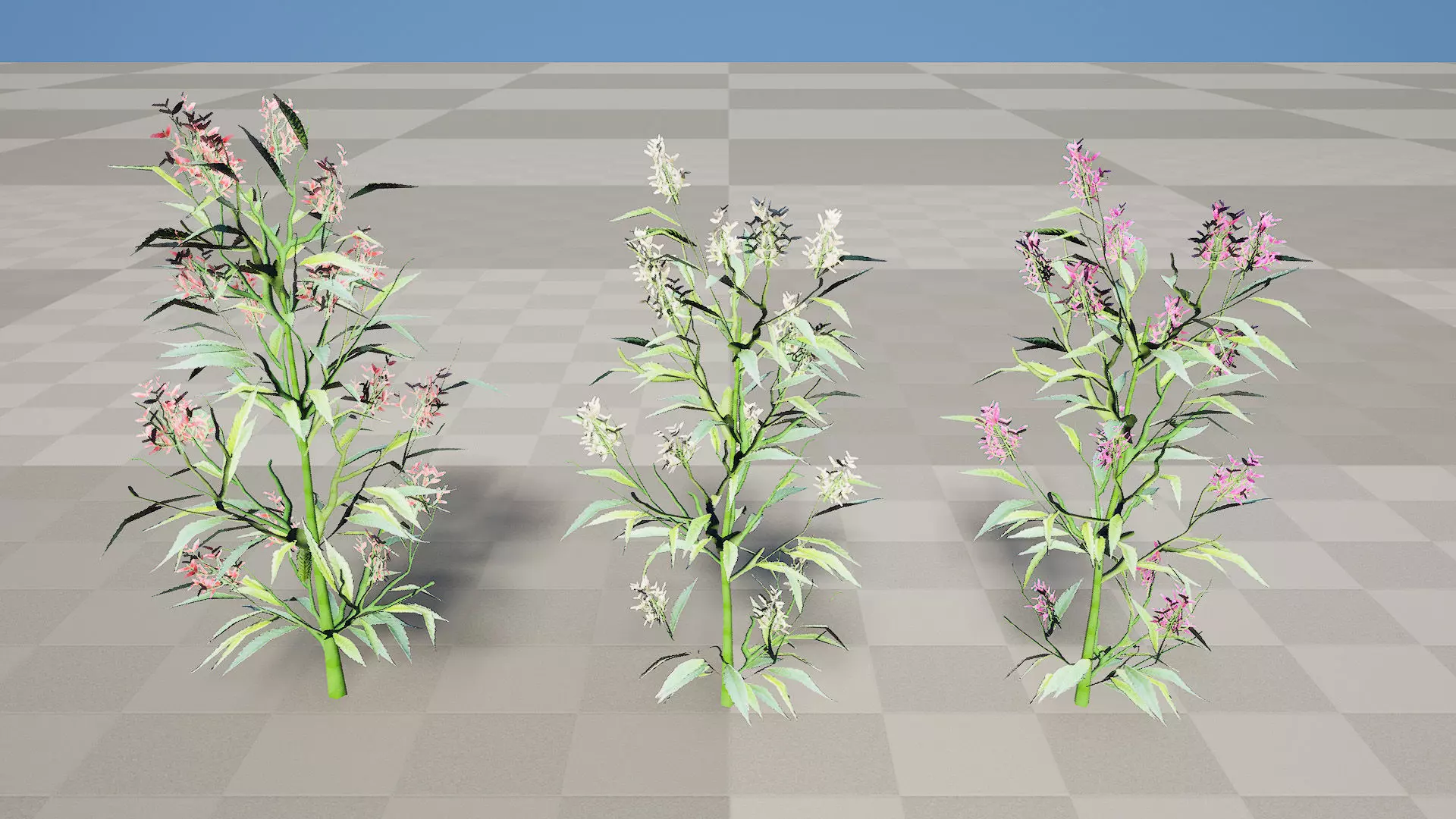 British Hemp-Agrimony 3D Model Pack Low-poly 3D model_8