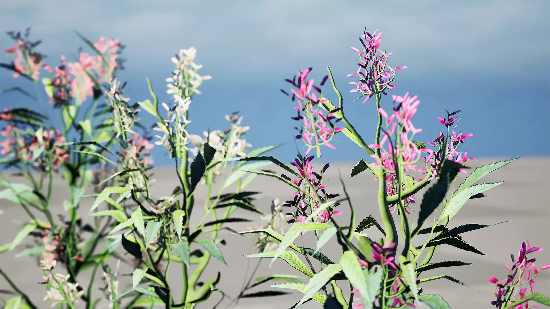 British Hemp-Agrimony 3D Model Pack Low-poly 3D model_9