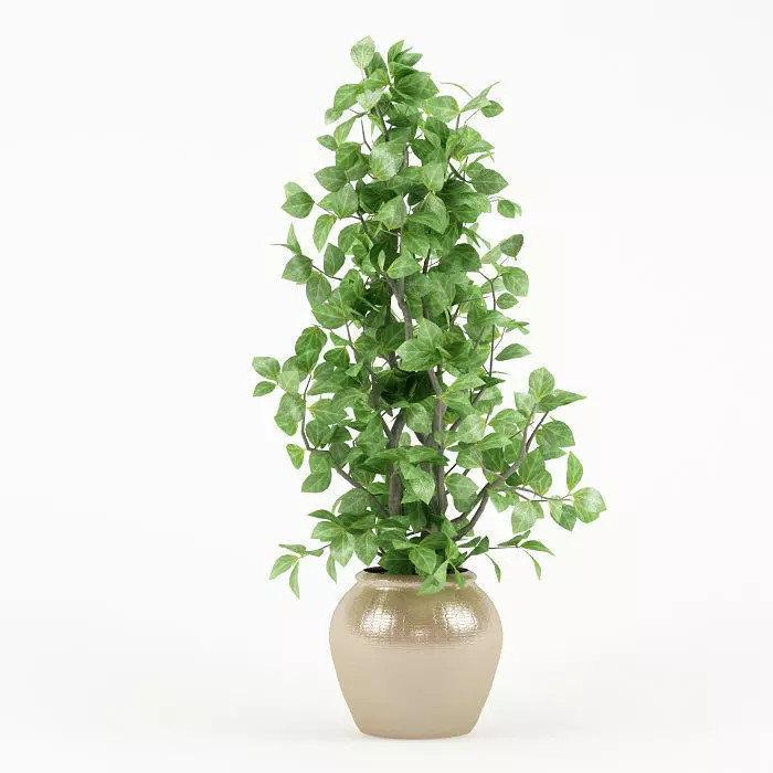 Plant 044 3D model_0