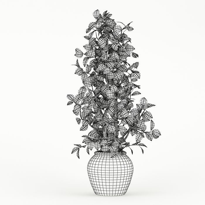 Plant 044 3D model_5