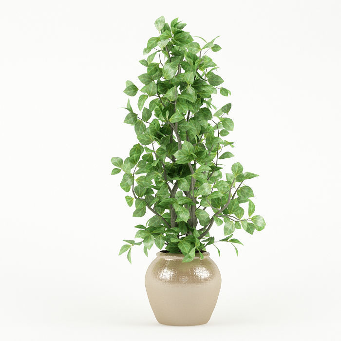Plant 044 3D model_1