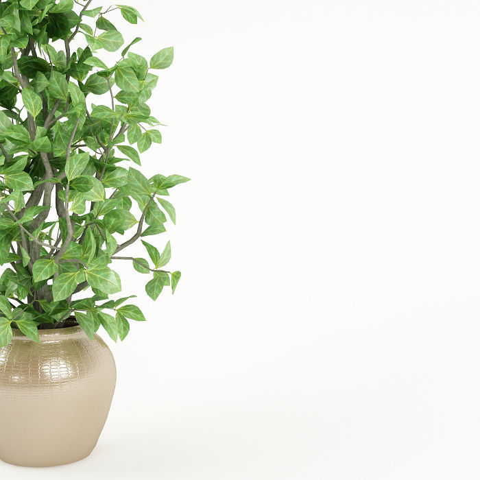 Plant 044 3D model_3