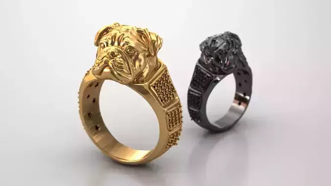 Guardian Spirit ring