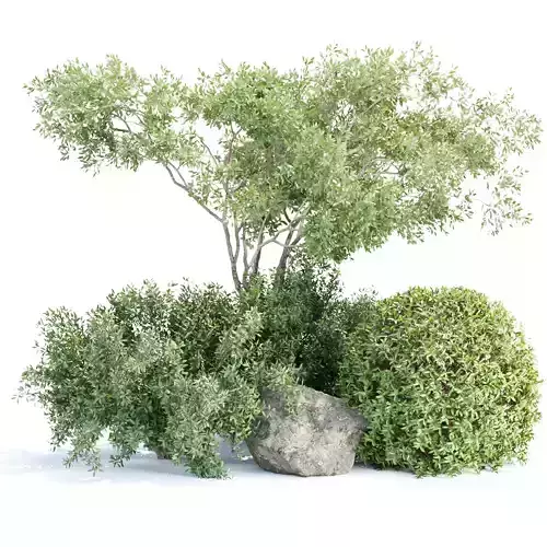 Plants for Garden Vol 331