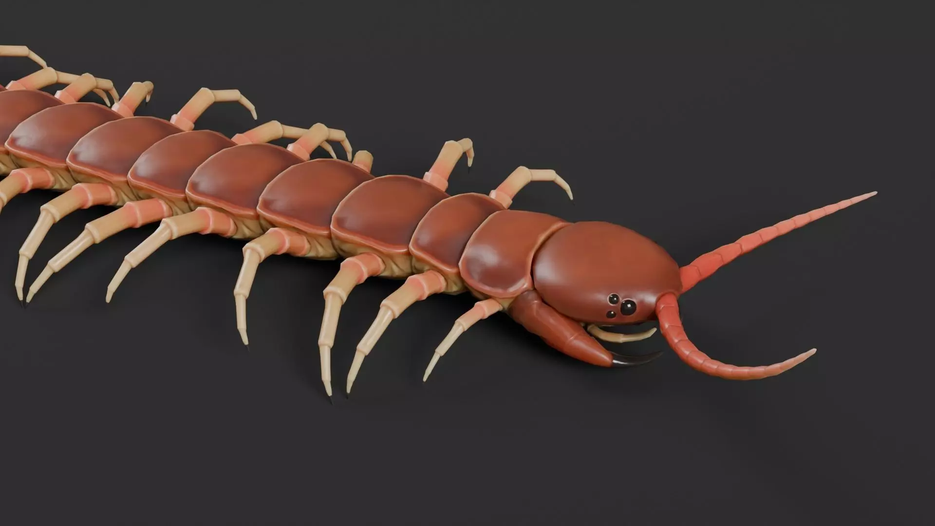 centipede Low-poly 3D model_5