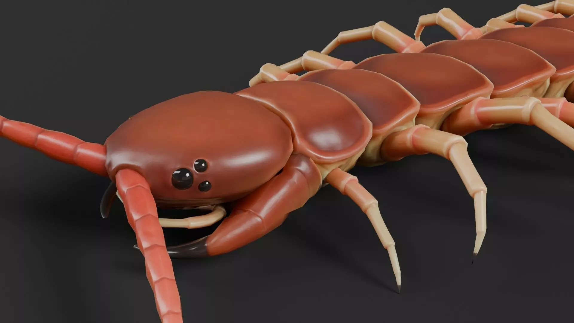 centipede Low-poly 3D model_4