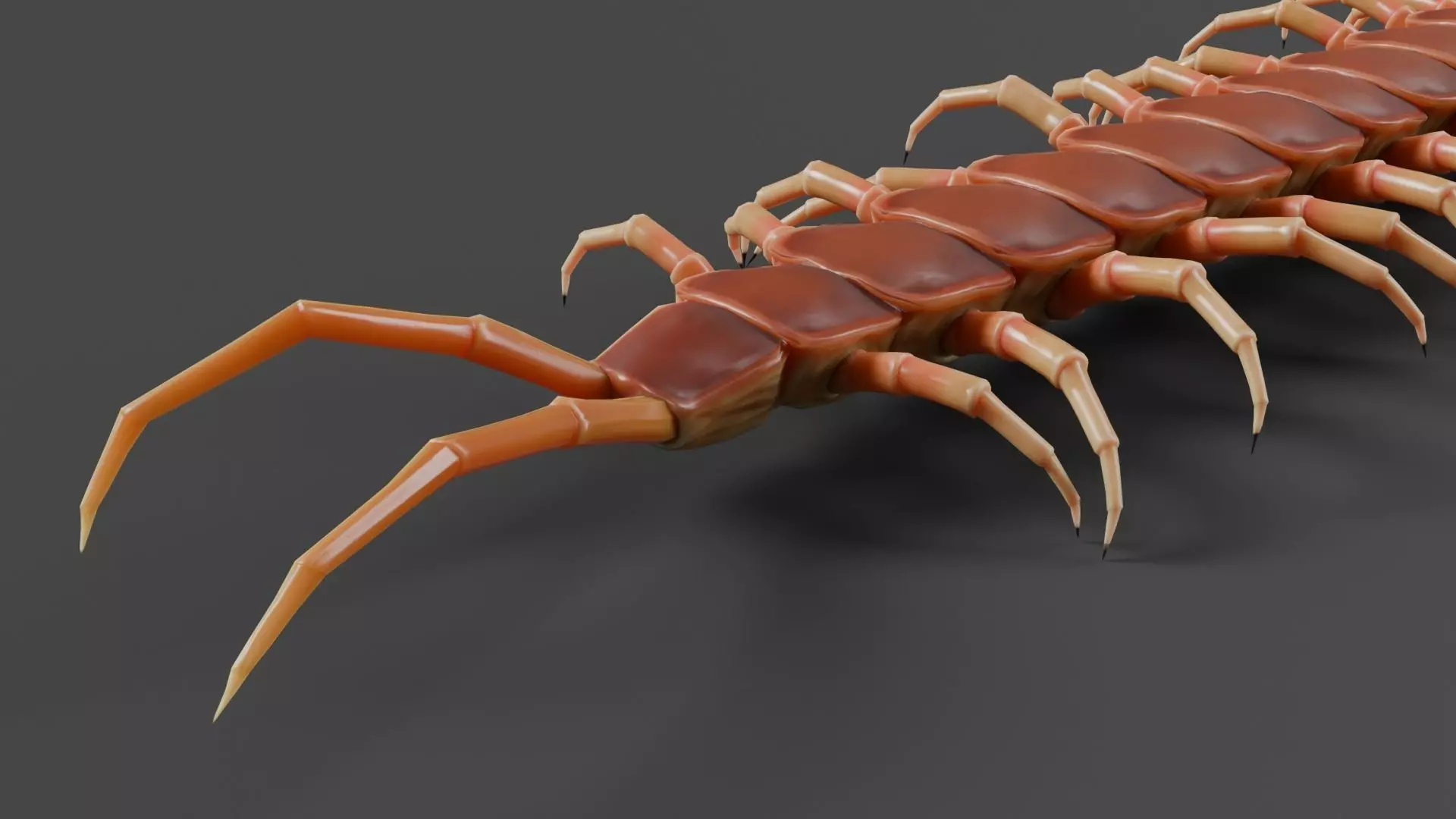 centipede Low-poly 3D model_8