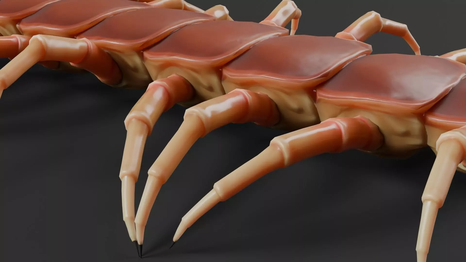 centipede Low-poly 3D model_6