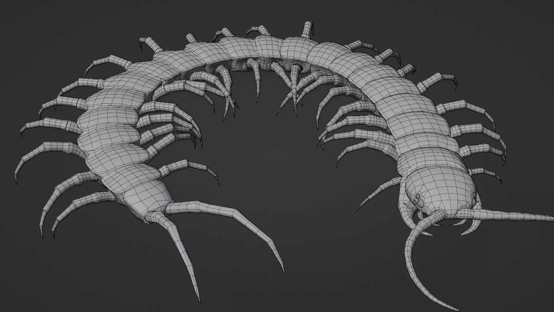 centipede Low-poly 3D model_13