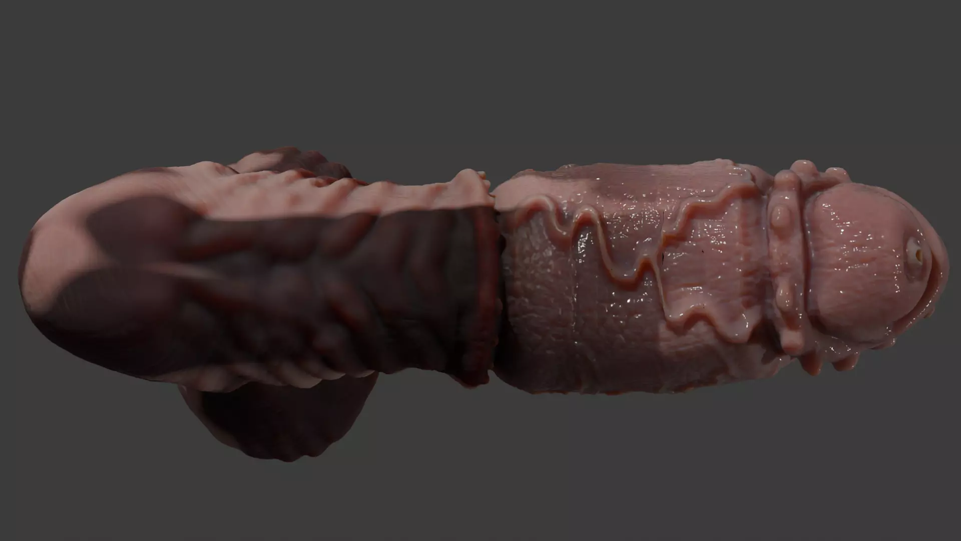 Fantasy Taurus Monster Bull Penis Rigged Low-poly 3D model_11