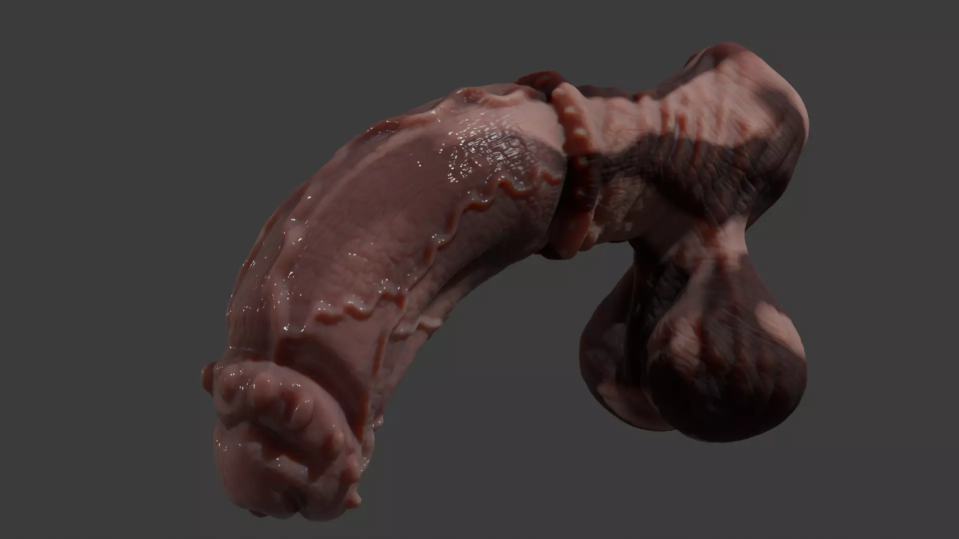 Fantasy Taurus Monster Bull Penis Rigged Low-poly 3D model_12