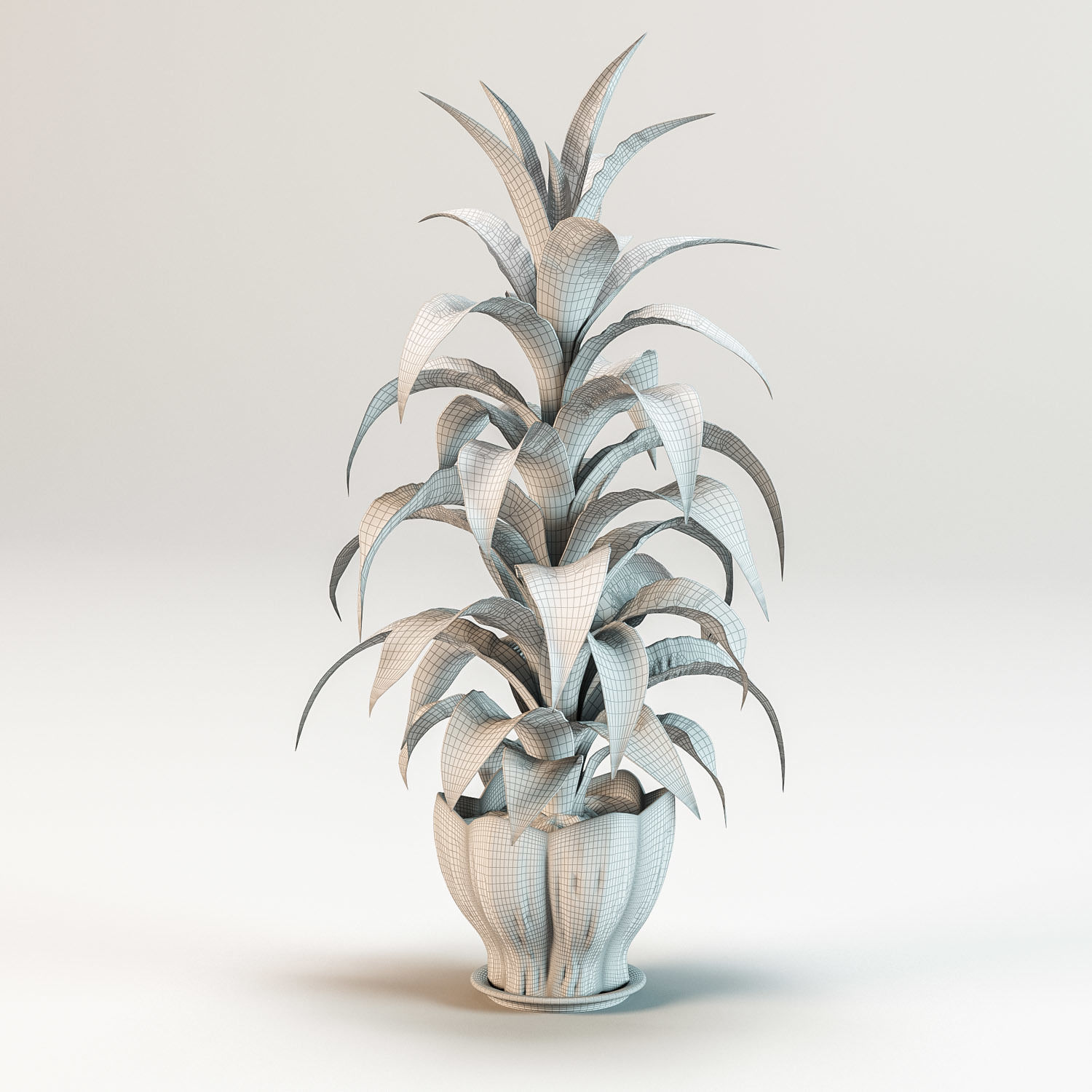 Dracaena deremensis fragrans potted plant 3D model_2