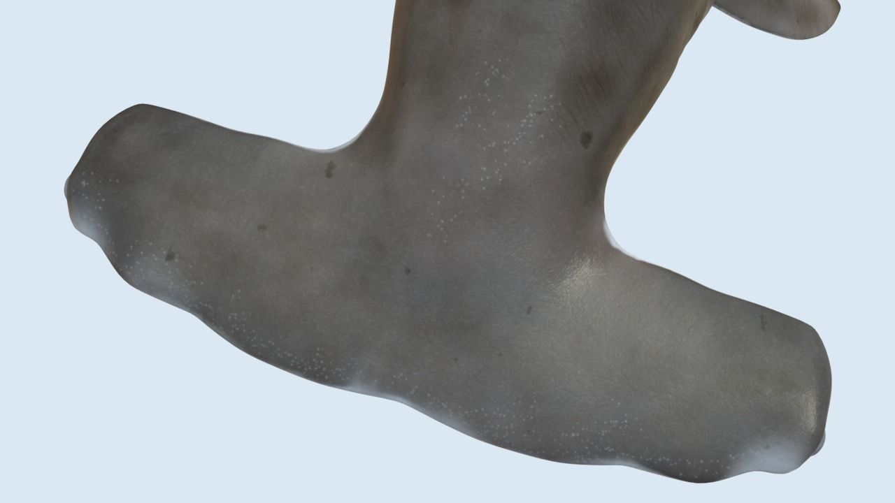 Hammerhead shark rigged and animated for Cinema 4d 3D model Low-poly 3D model_7