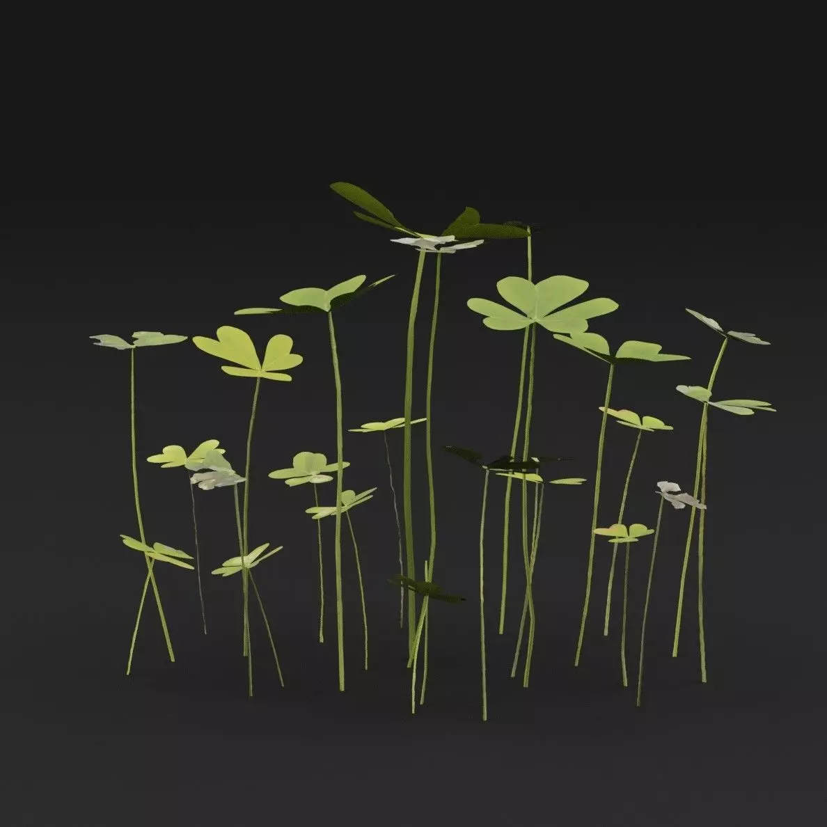 Oxalis Pes-Caprae Plant Low-poly 3D model_5