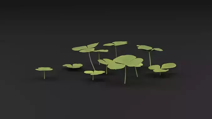 Oxalis Violacea Plant