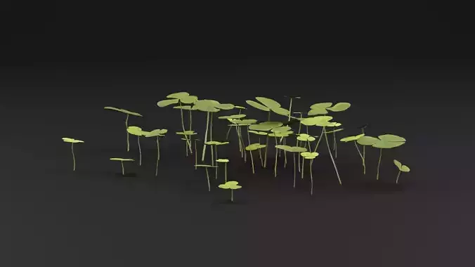 Oxalis Violacea Plant