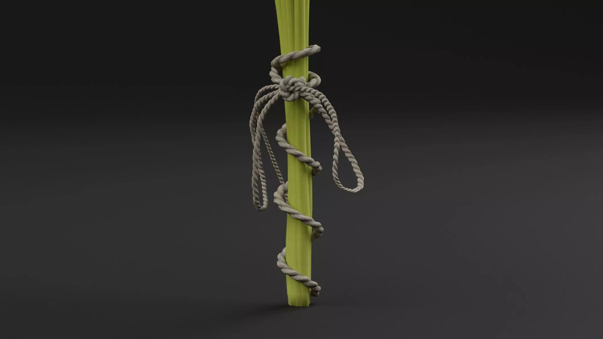 Parsley Plant 3D model_2