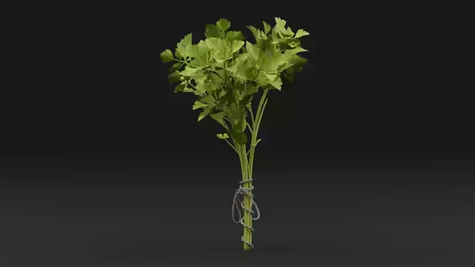 Parsley Plant