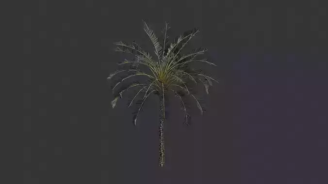 Date Palm Foliage Set with Leaves Fronds Trunk