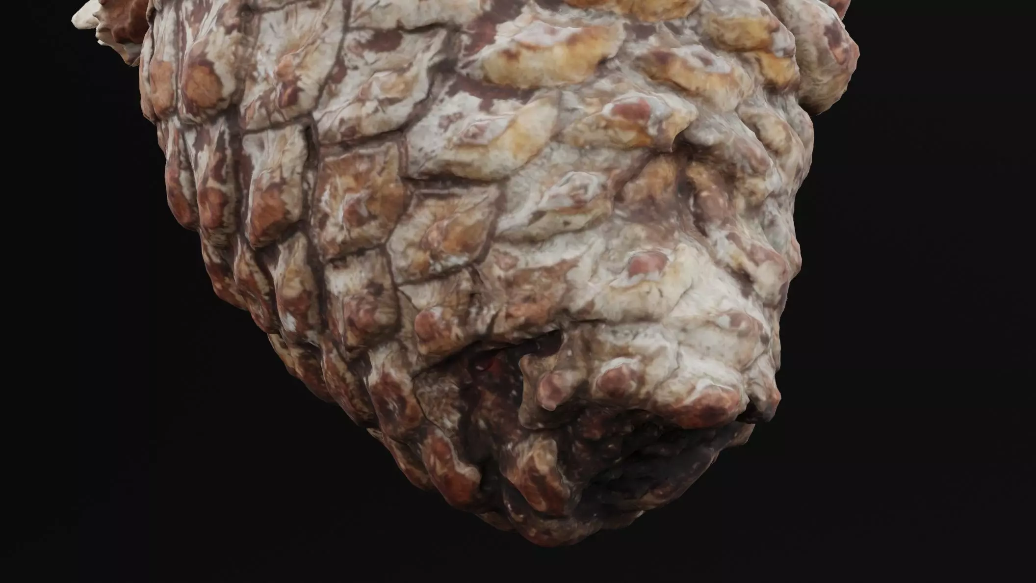 Pine Cone Low-poly 3D model_1