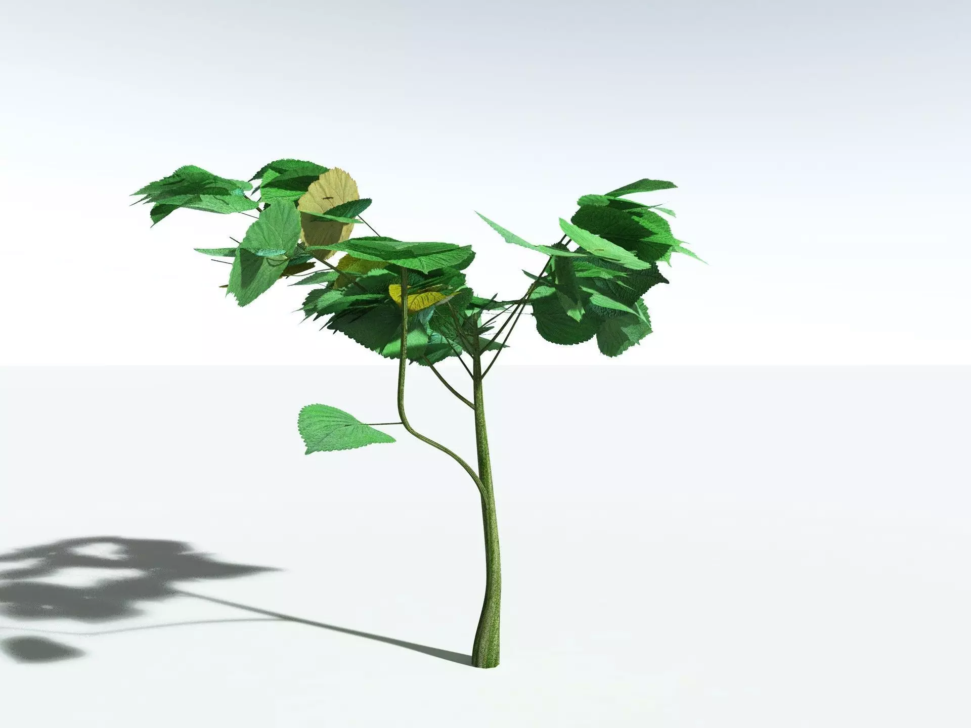EVERYPlant Stinging Bush LowPoly Low-poly 3D model_20