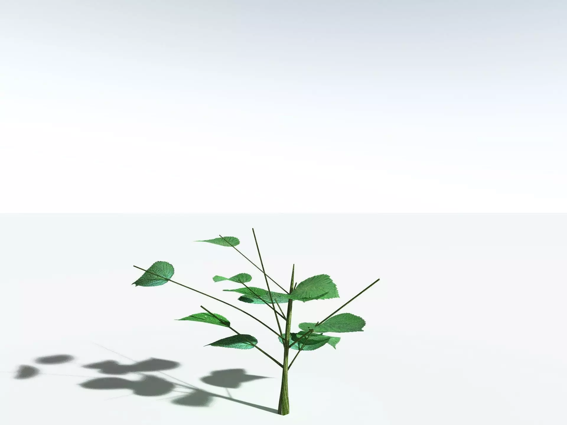 EVERYPlant Stinging Bush LowPoly Low-poly 3D model_27