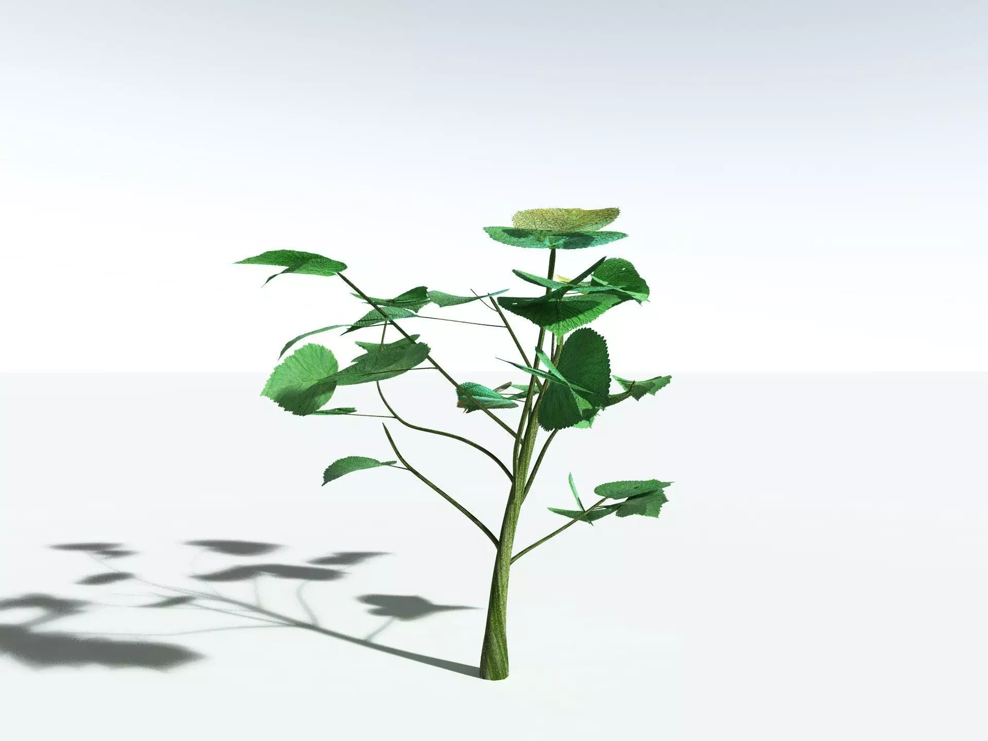 EVERYPlant Stinging Bush LowPoly Low-poly 3D model_6