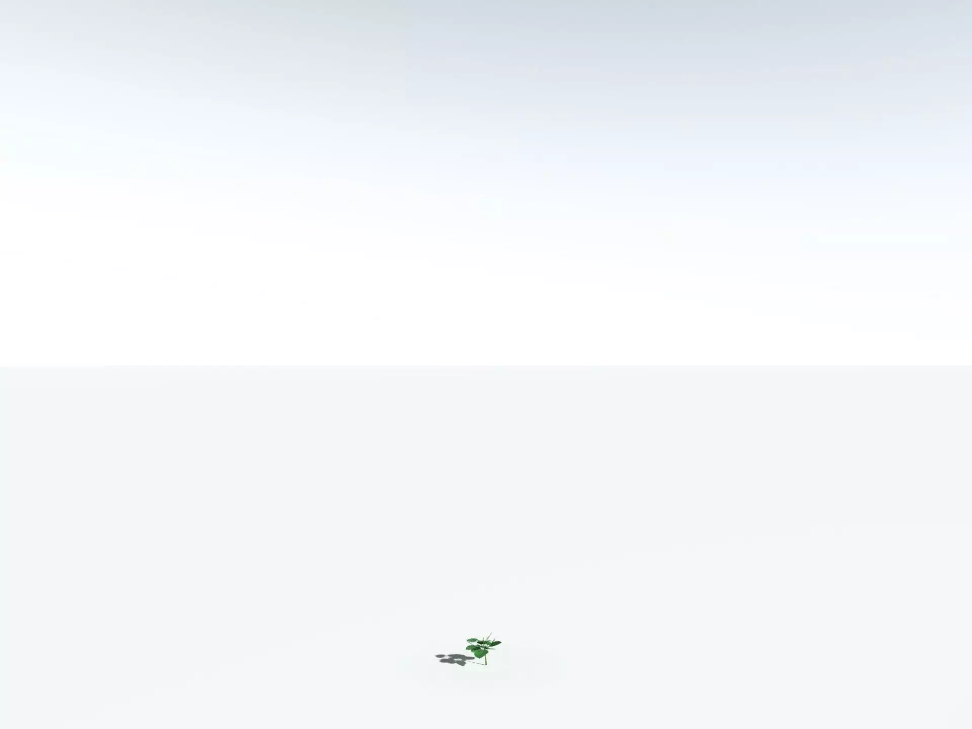 EVERYPlant Stinging Bush LowPoly Low-poly 3D model_28