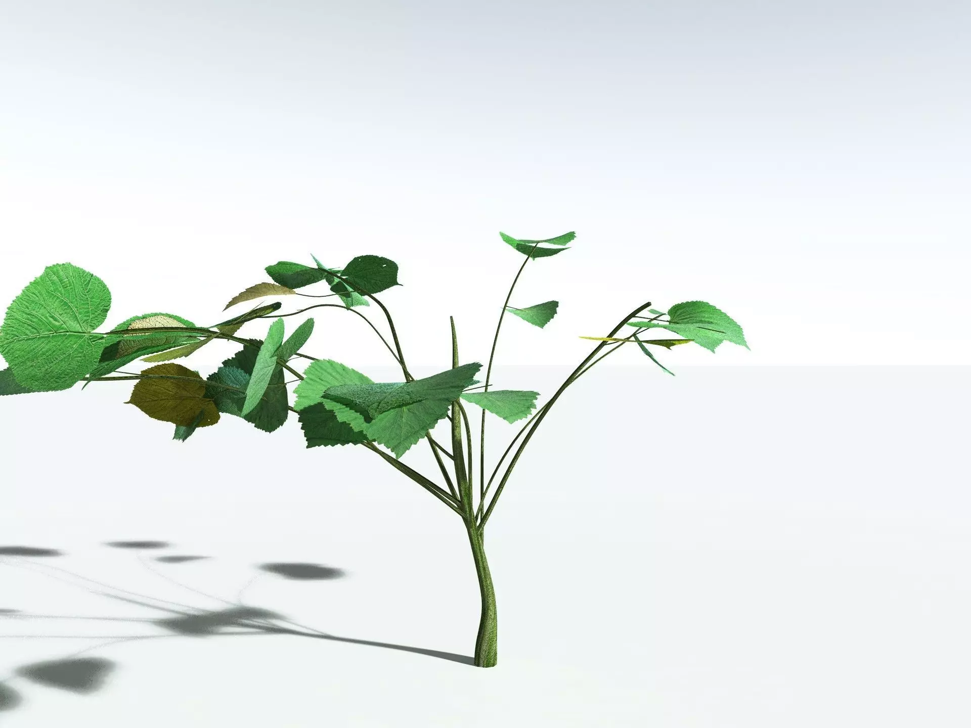 EVERYPlant Stinging Bush LowPoly Low-poly 3D model_12