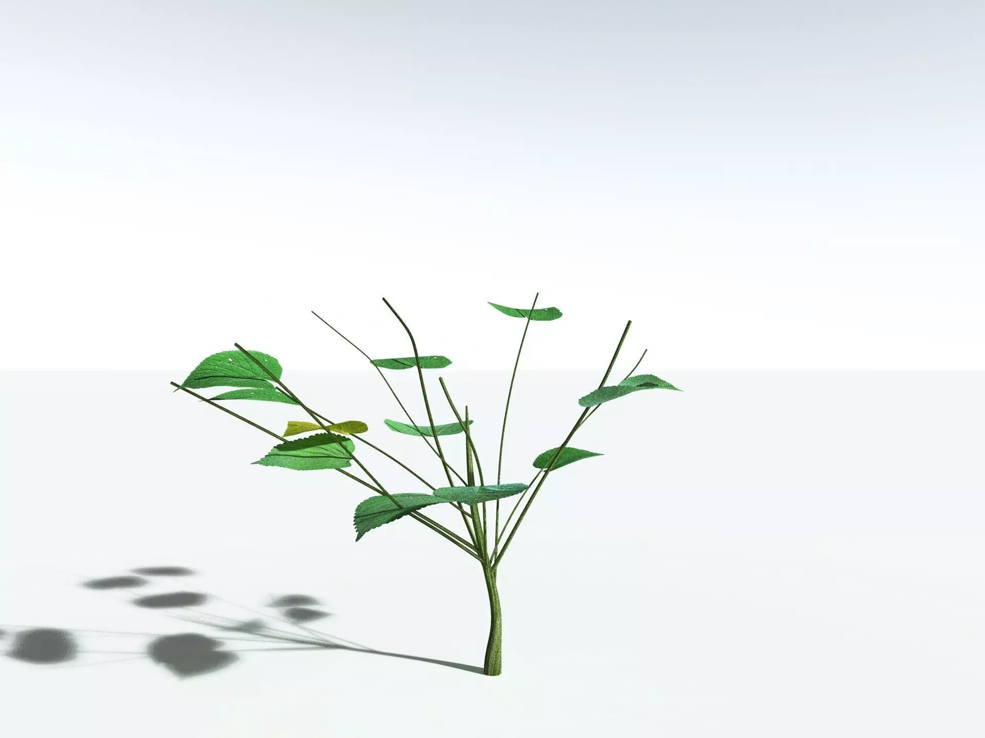 EVERYPlant Stinging Bush LowPoly Low-poly 3D model_22