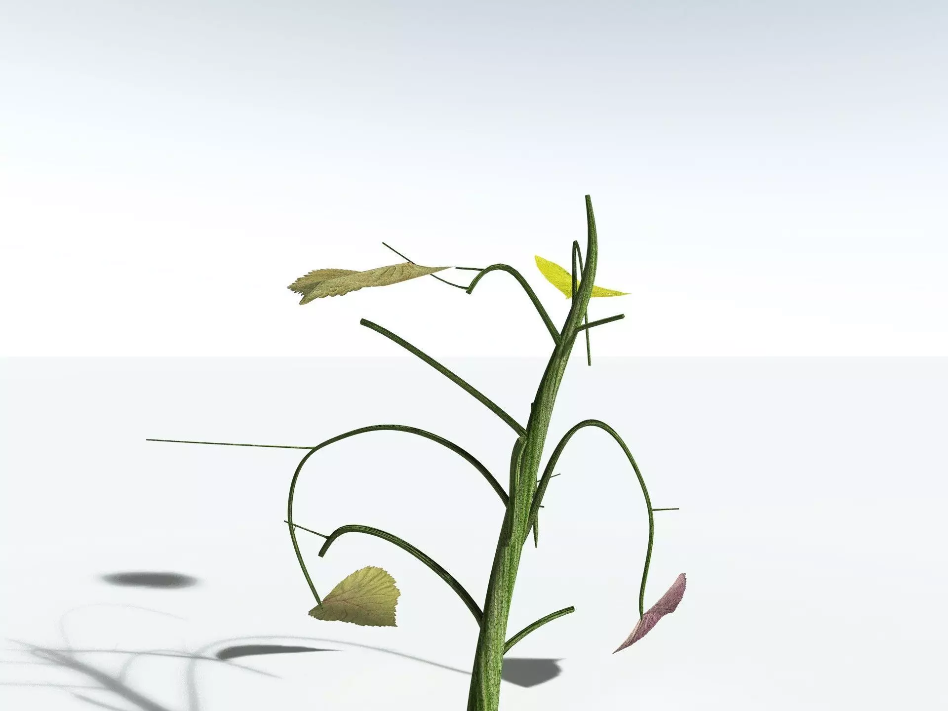 EVERYPlant Stinging Bush LowPoly Low-poly 3D model_17