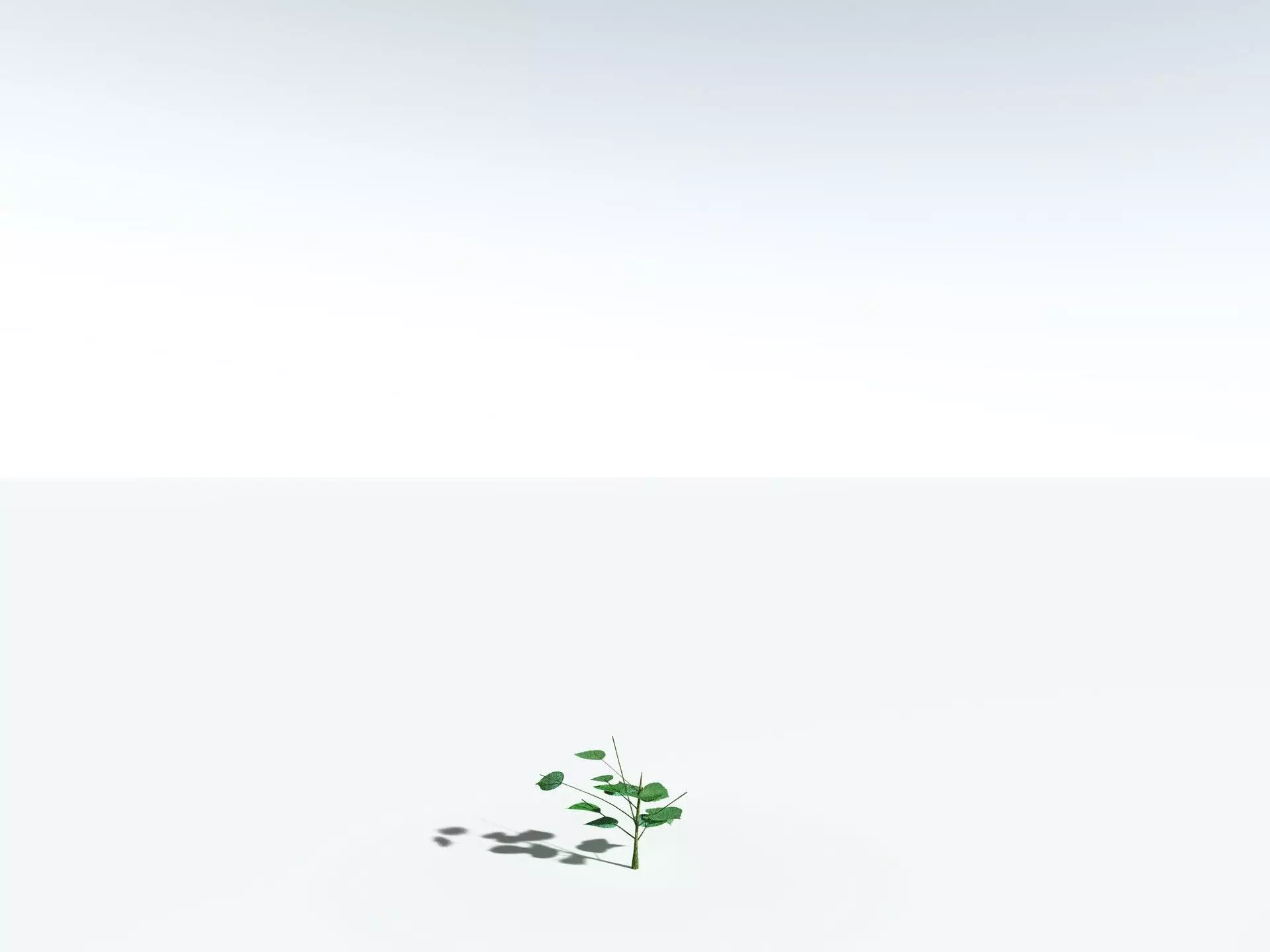 EVERYPlant Stinging Bush LowPoly Low-poly 3D model_26