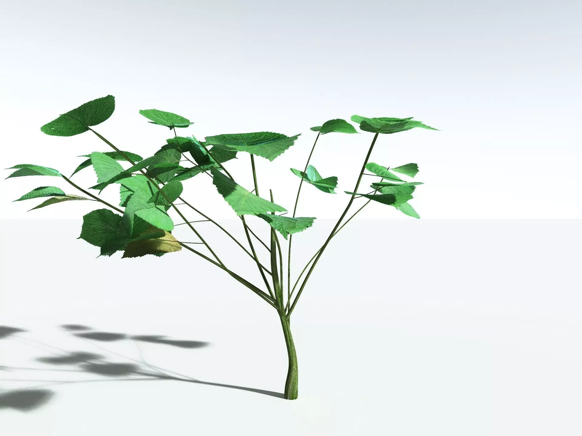 EVERYPlant Stinging Bush LowPoly Low-poly 3D model_2