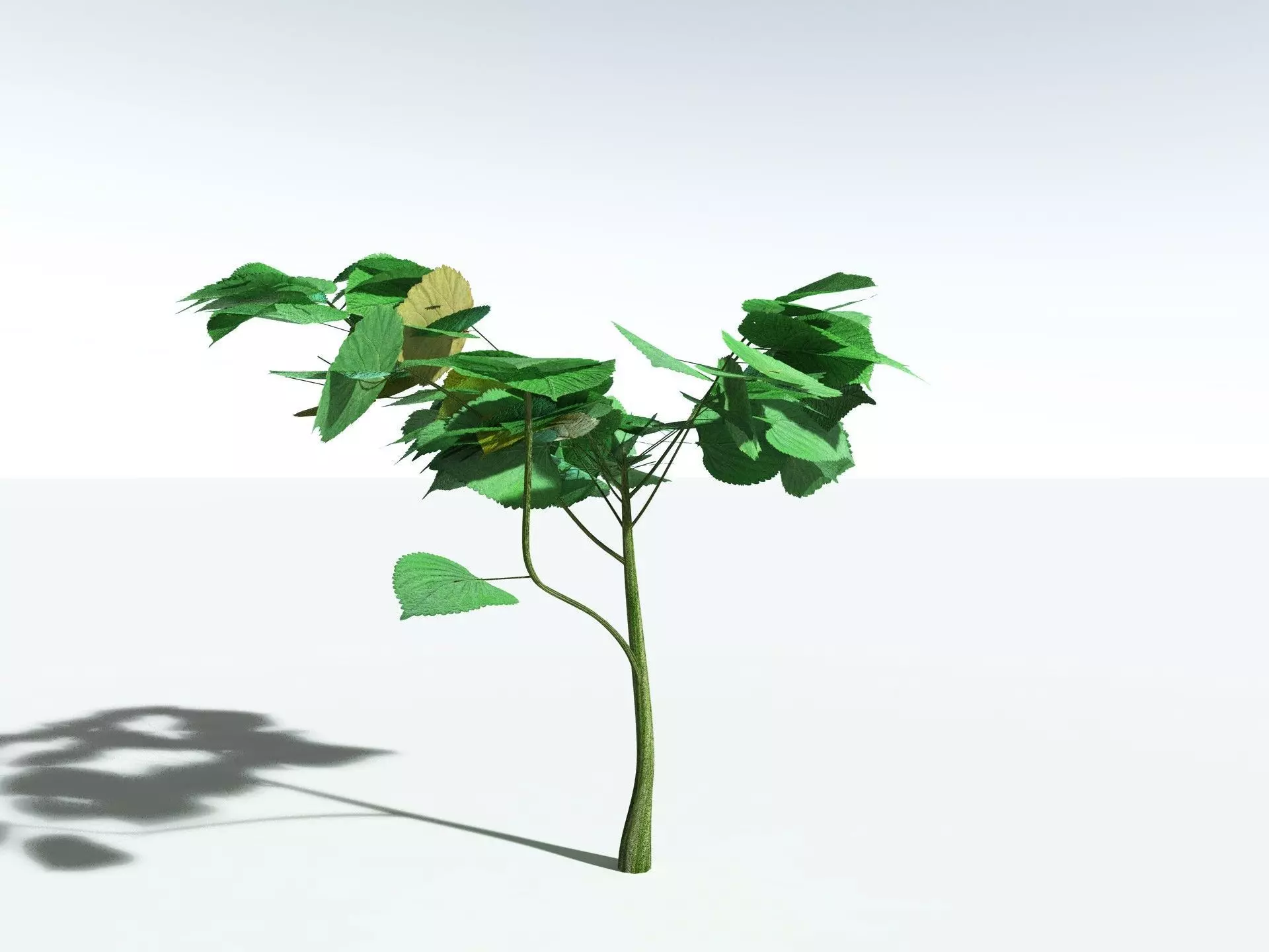 EVERYPlant Stinging Bush LowPoly Low-poly 3D model_0