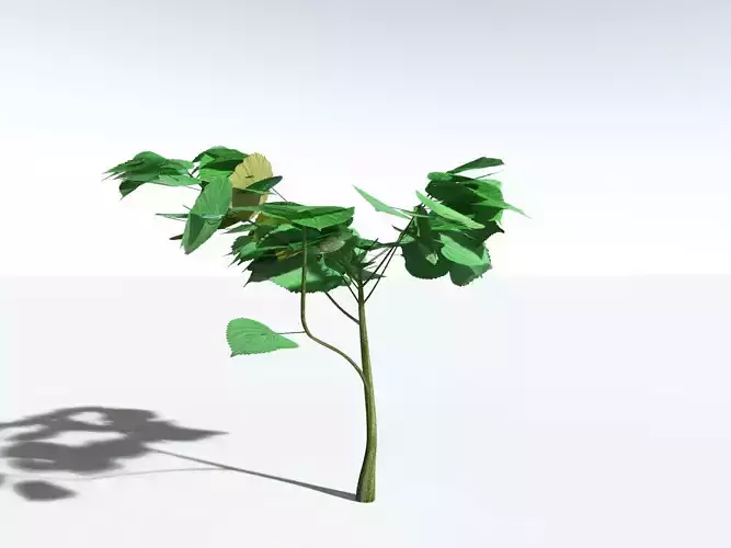 EVERYPlant Stinging Bush LowPoly