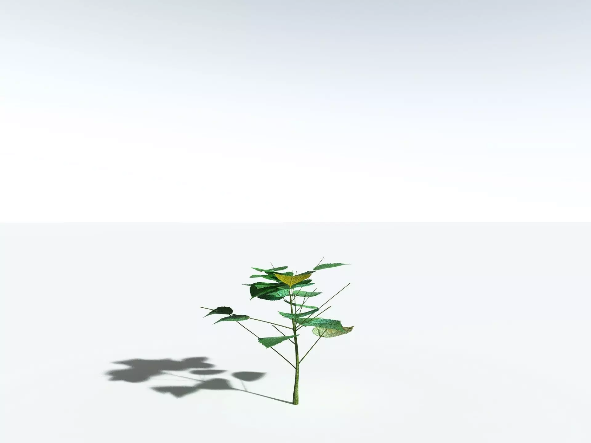 EVERYPlant Stinging Bush LowPoly Low-poly 3D model_24