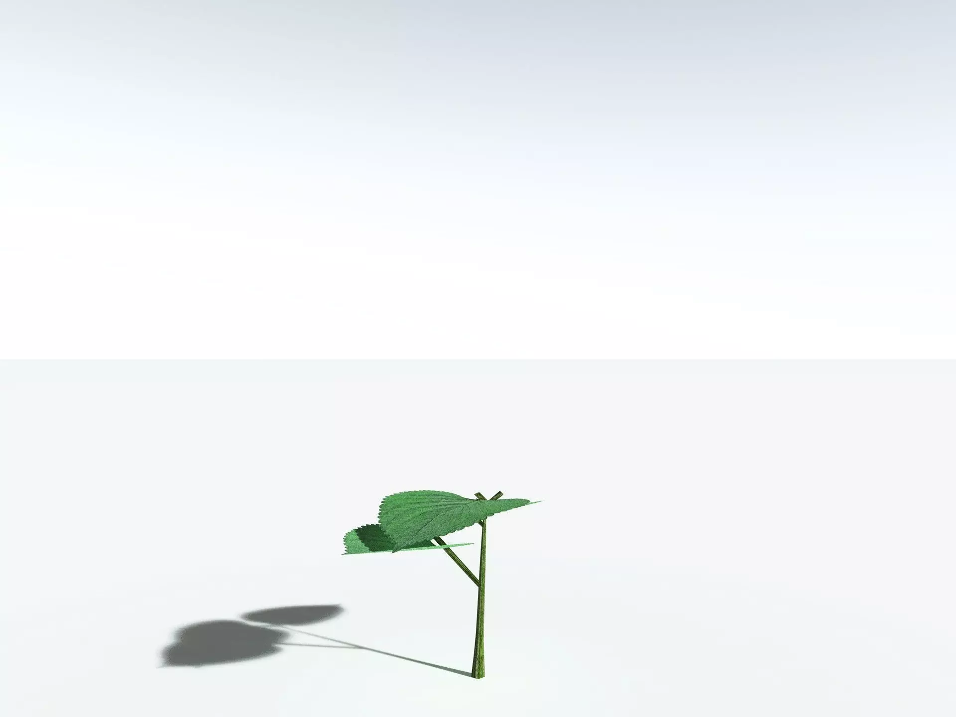 EVERYPlant Stinging Bush LowPoly Low-poly 3D model_31