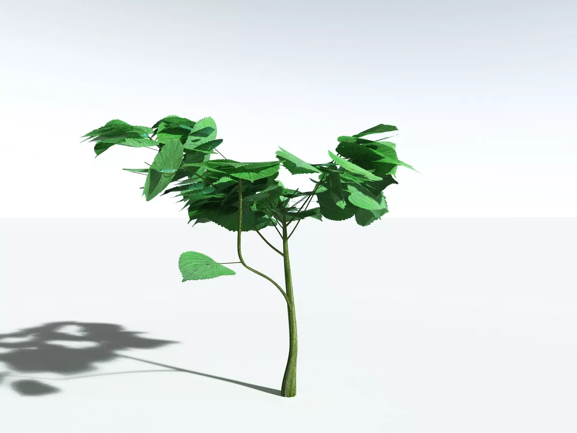 EVERYPlant Stinging Bush LowPoly Low-poly 3D model_10