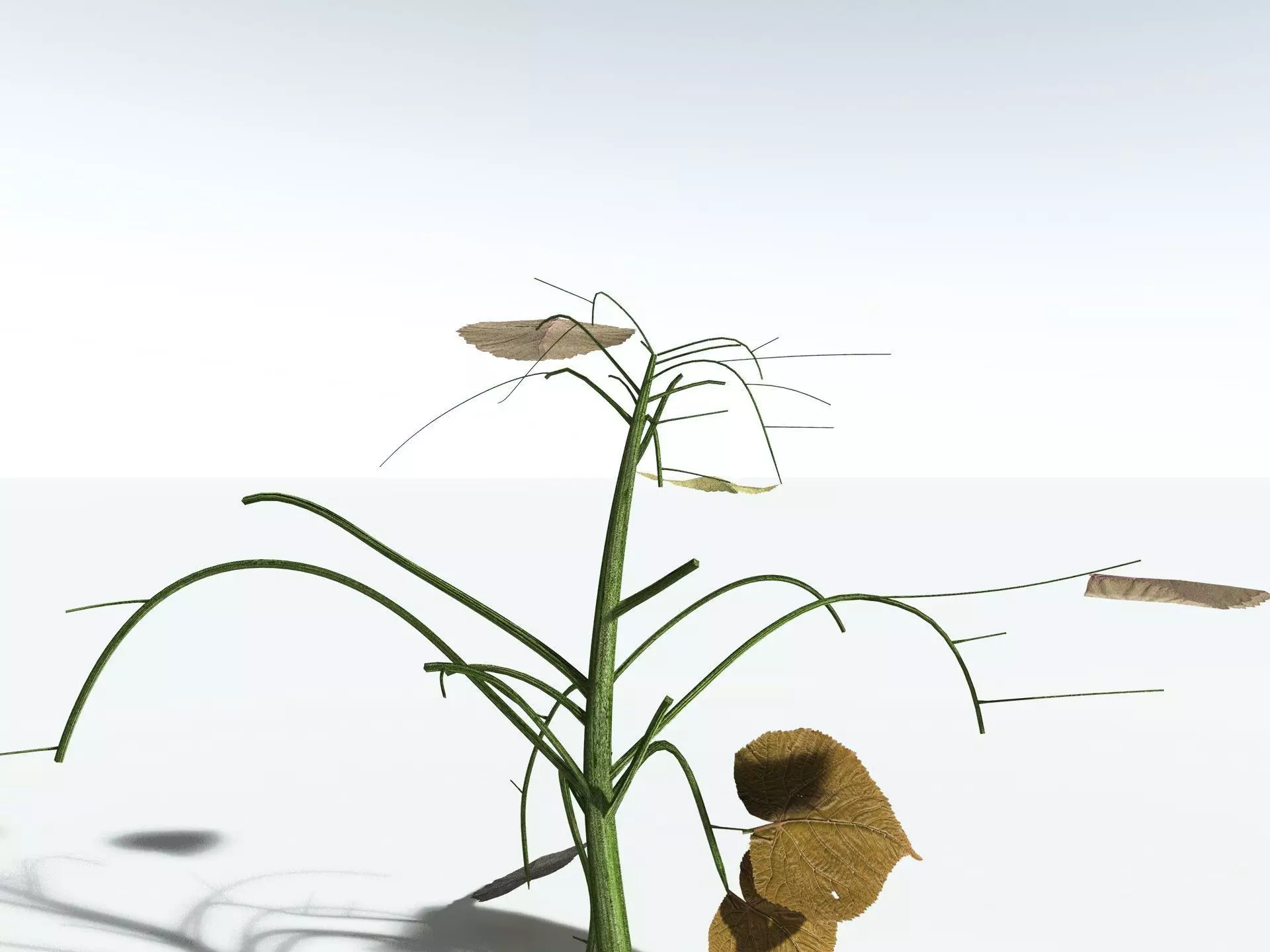 EVERYPlant Stinging Bush LowPoly Low-poly 3D model_19