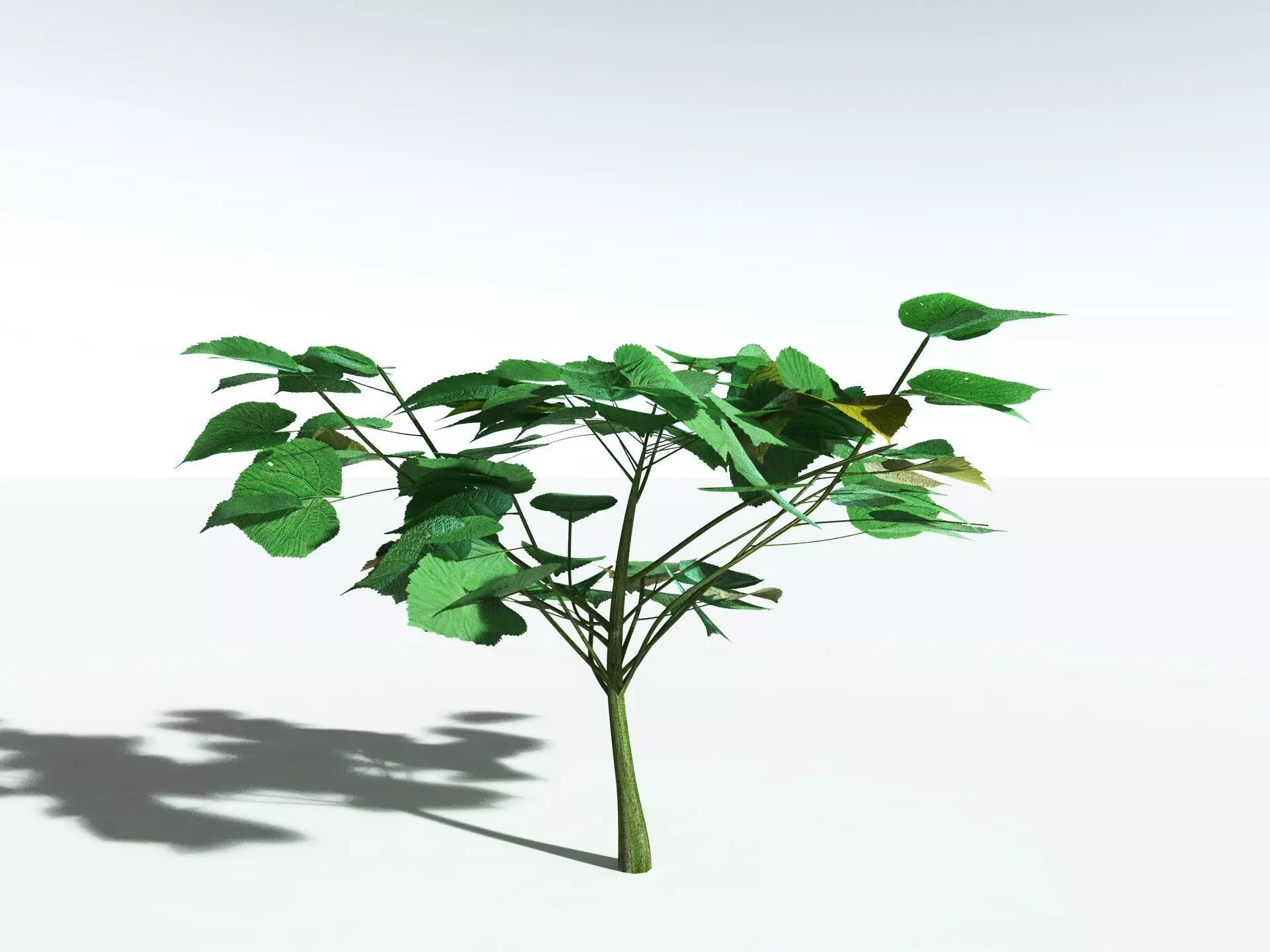 EVERYPlant Stinging Bush LowPoly Low-poly 3D model_8