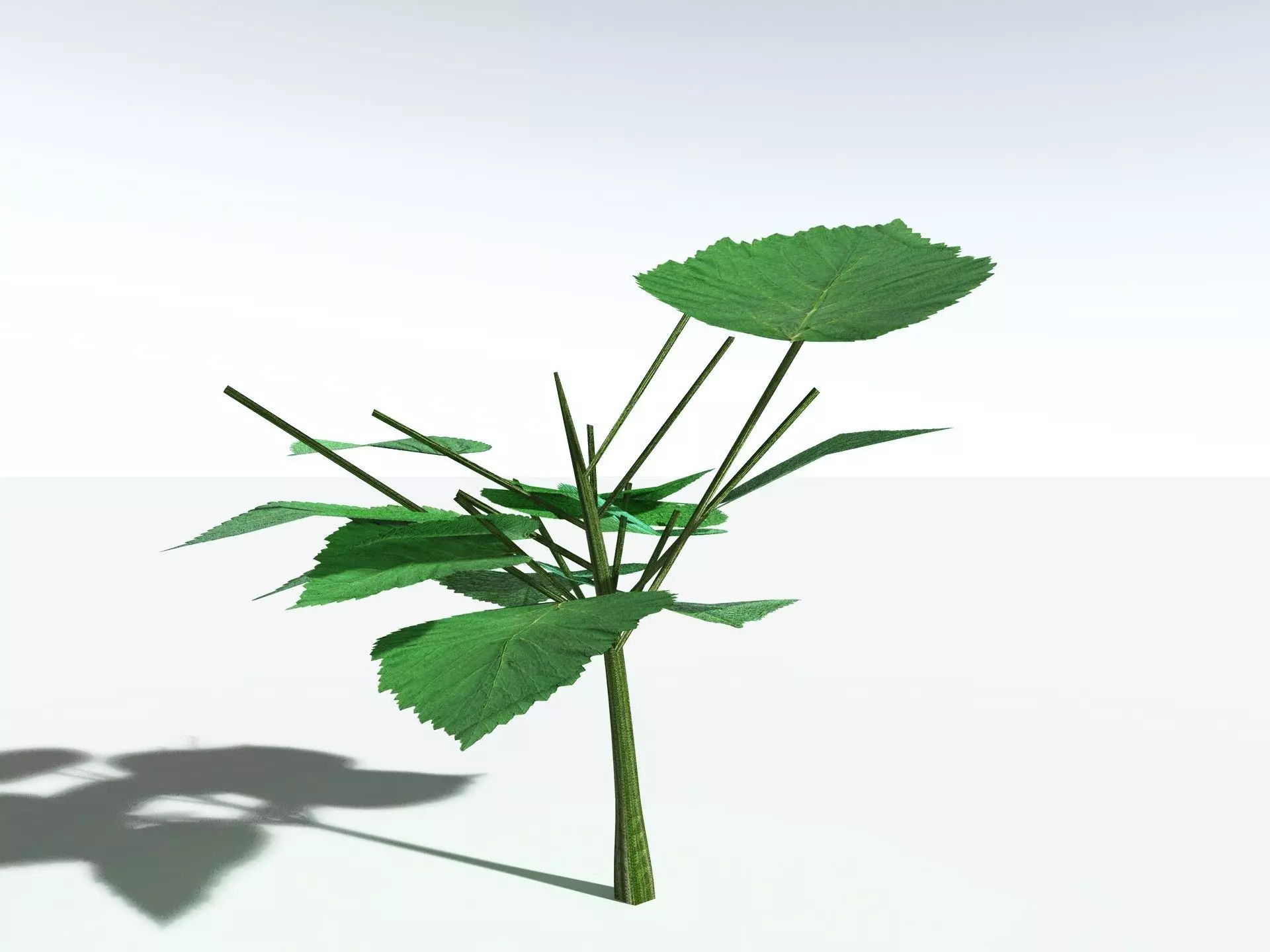 EVERYPlant Stinging Bush LowPoly Low-poly 3D model_29
