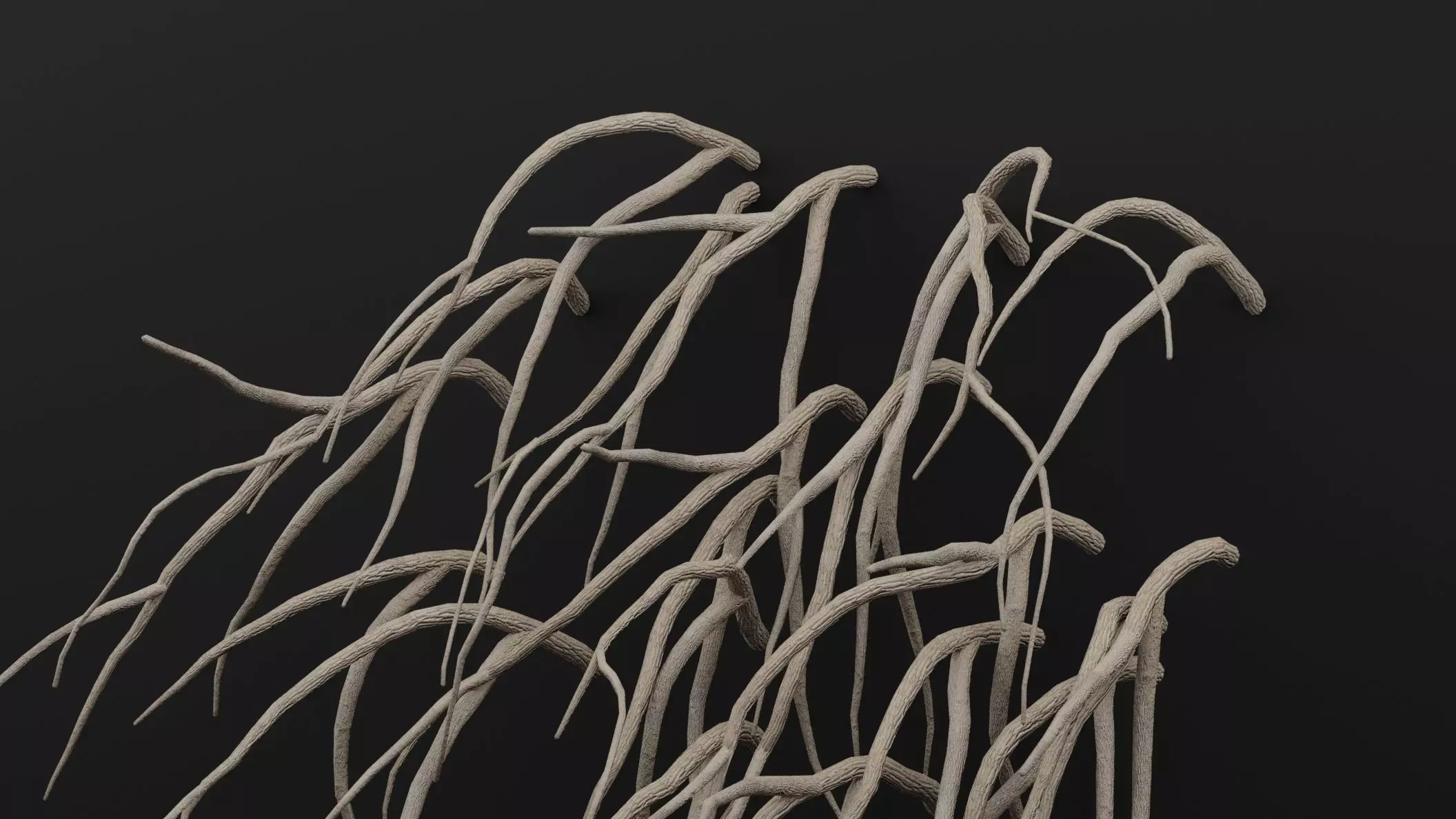 Cocculus Hirsutus Plant Low-poly 3D model_1