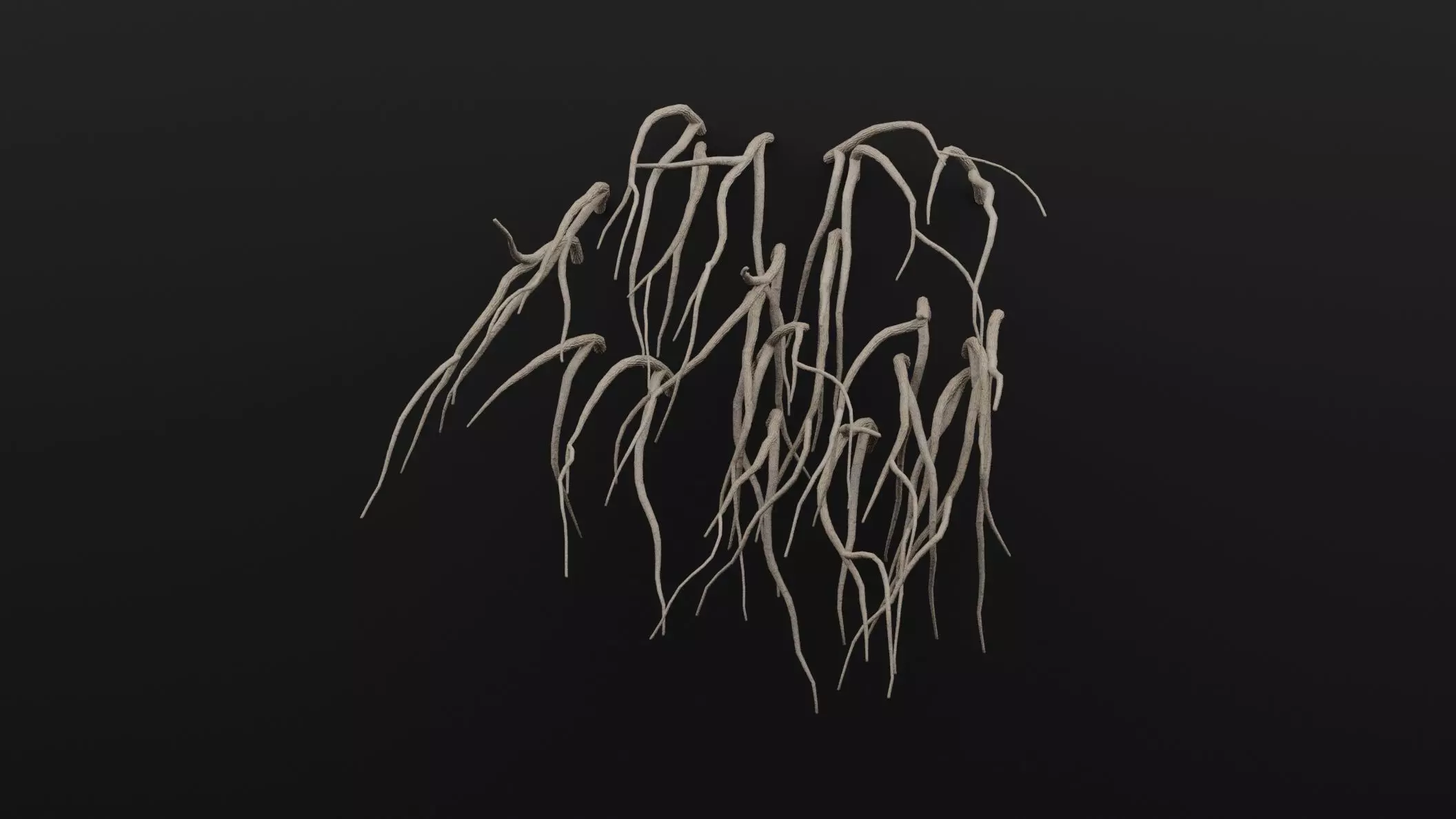 Cocculus Hirsutus Plant Low-poly 3D model_0