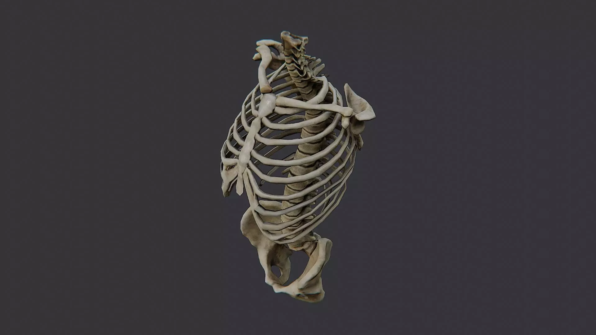 Disco Skulls Bones Torso Skeleton Low-poly 3D model_3