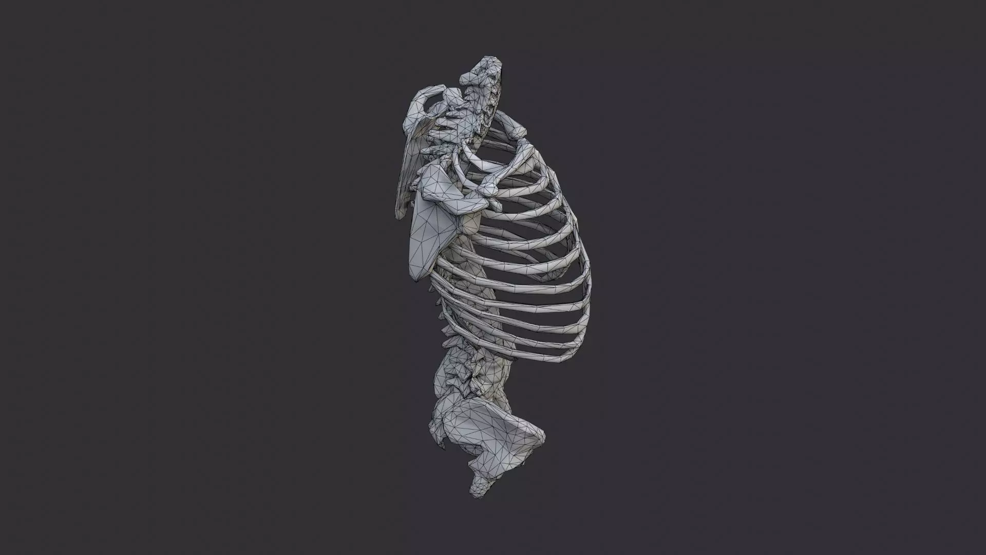 Disco Skulls Bones Torso Skeleton Low-poly 3D model_7