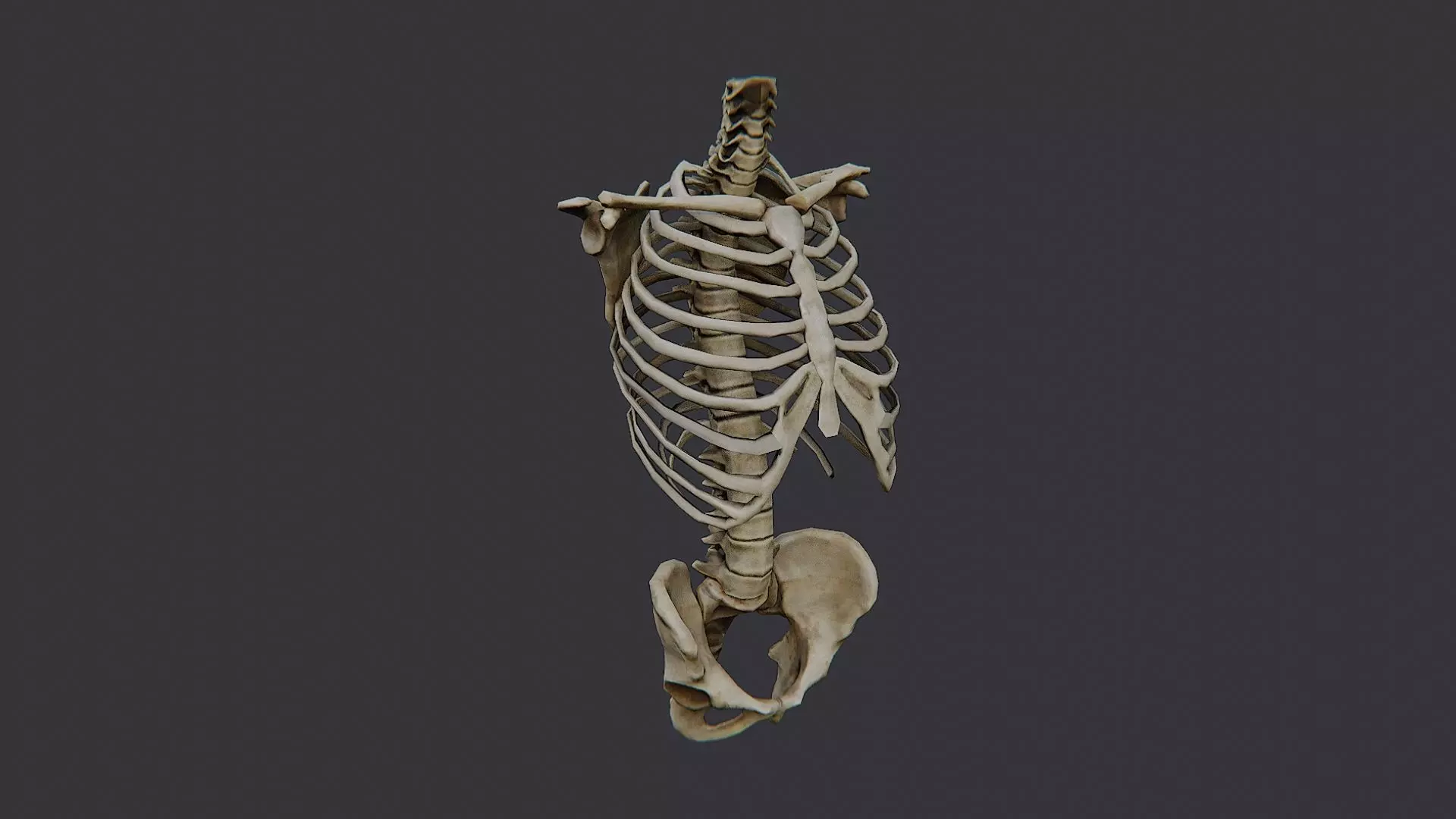 Disco Skulls Bones Torso Skeleton Low-poly 3D model_2