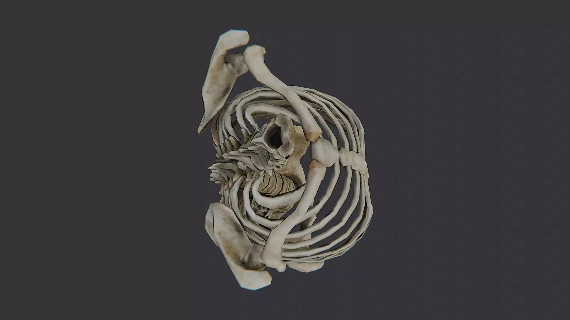 Disco Skulls Bones Torso Skeleton Low-poly 3D model_4