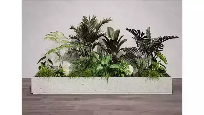 Tropical Plant Combination